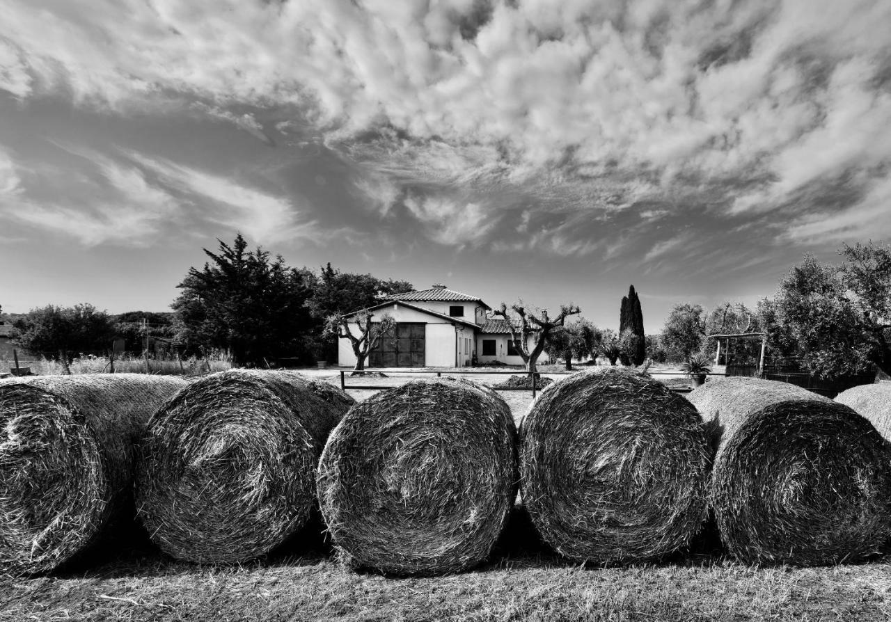 Orti Di Capalbio Villa Dış mekan fotoğraf