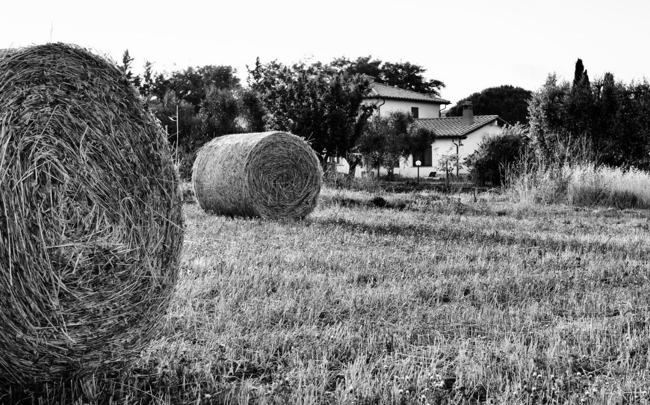 Orti Di Capalbio Villa Dış mekan fotoğraf